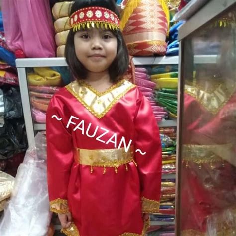 Jual Pakaian Adat Palembang Anak // Baju Adat Sumatra Selatan Tk Sd 055 ...