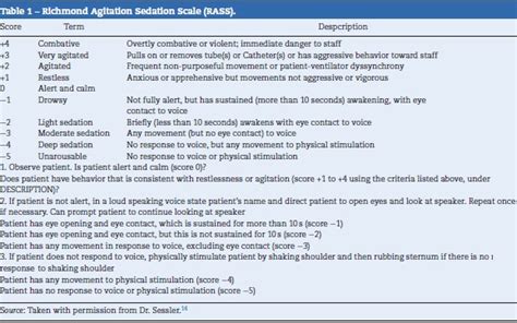 Transcultural and linguistic adaptation of the Richmond Agitation-Sedation Scale to Spanish