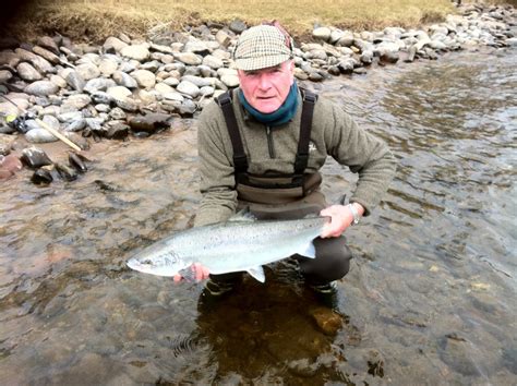 Salmon Fishing Scotland.: Salmon Fishing Scotland Catching Spring Salmon on the Tay April 2013.