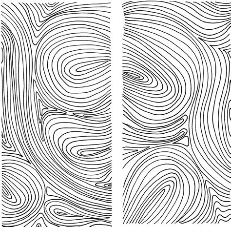 EXERCISE 4 Follow the Line - Drawing in Black & White [Book]