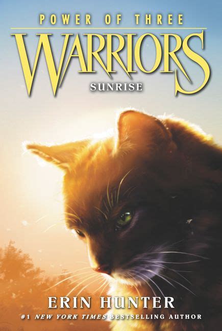 Warriors: Power of Three #6: Sunrise - Erin Hunter - Paperback