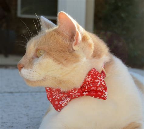 Winter Cat Bow Tie Collar Cat Bow Tie for Winter Christmas - Etsy