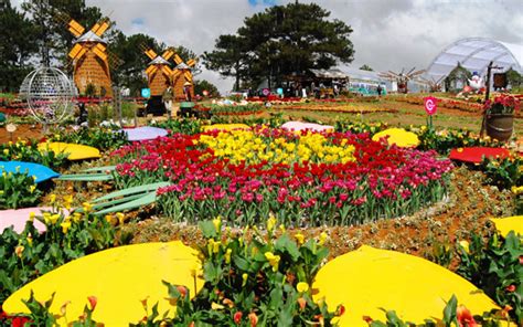 2019 Da Lat Flower Festival kicks off