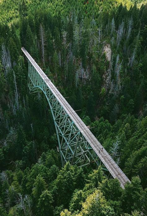 Vance Creek Bridge by snickersv | Covered bridges, Bridge, Bridge design