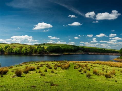 640x480 Resolution field, river, grass 640x480 Resolution Wallpaper ...