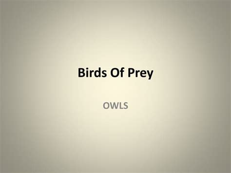 Birds of prey owls | PPT