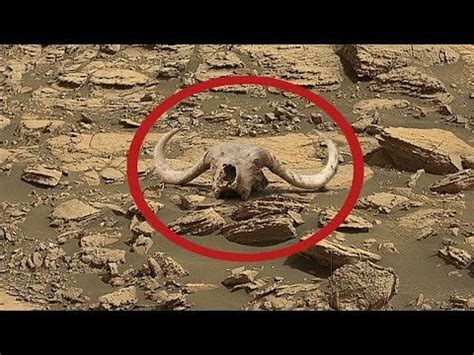 Mars Update 2023: Rover Recently Uploaded 4k Stunning Video: Mars Video ... : r/NASA_SpaceNuts