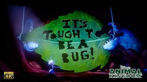 It's Tough to Be a Bug Complete Show 4K Disney's Animal Kingdom Walt Disney World 2023 01 05 ...