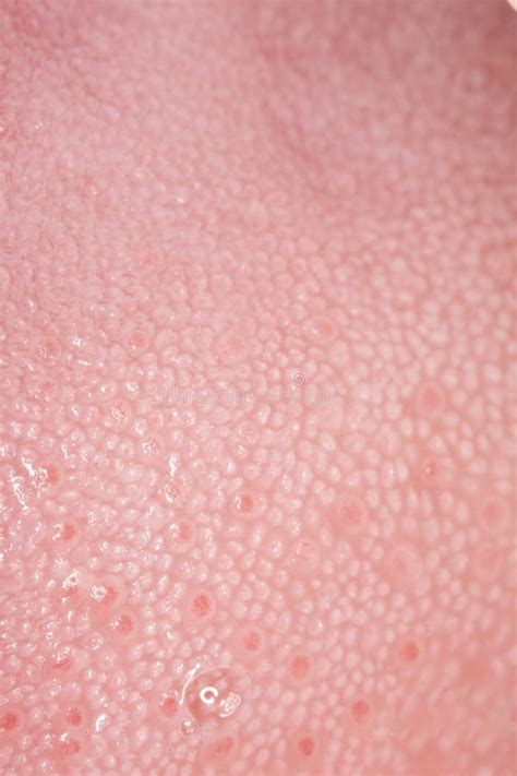 Tongue texture stock image. Image of texture, saliva - 11777665