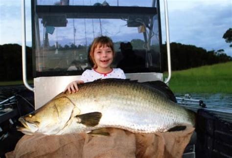 √ Recreational Fishing Guide Queensland