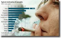 Marijuana Statistics