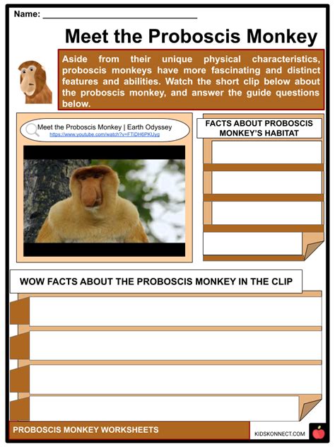 Proboscis Monkey Facts & Worksheets | Description, Behavior & Habitat