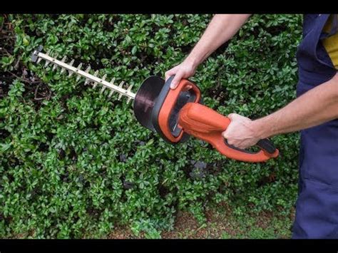 Black and Decker Hedge Trimmer Review - YouTube