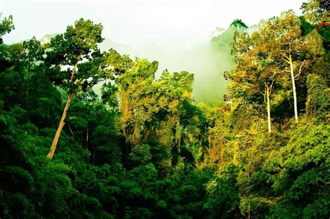 Khao Sok National Park Information and History