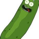 Pickle Rick Meme Generator - Imgflip