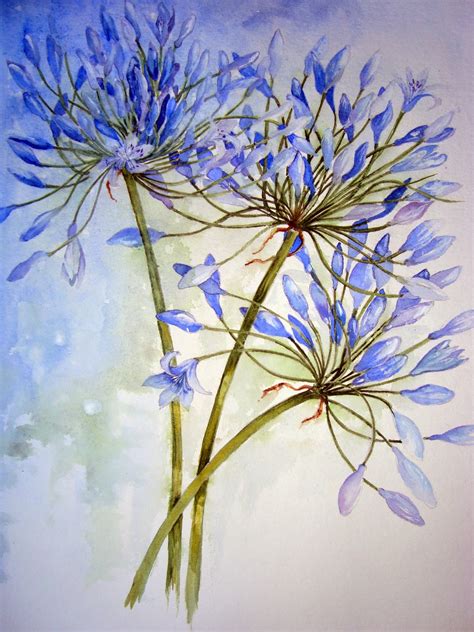 Watercolour Florals: Agapanthus