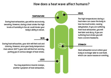 Heat Wave Information - Natural Disaster Guide | Direct Energy