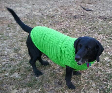 26 Free Crochet Dog Sweater Patterns | Guide Patterns