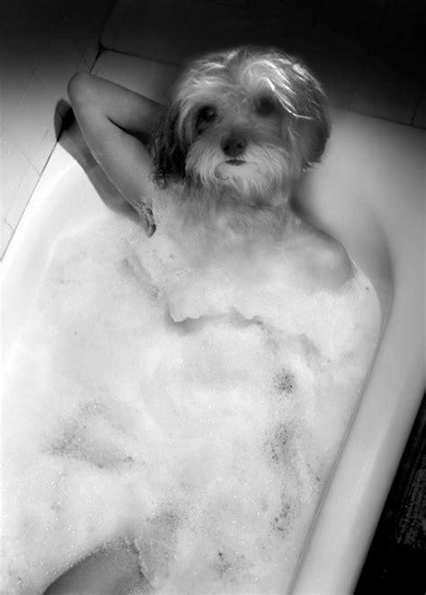 Custom Bubble Bath Pet Portrait - Etsy