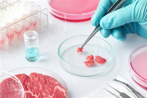 Is Lab-Grown Meat Healthy?