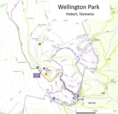 Wellington Park, Feb 2021 – Bird Spots