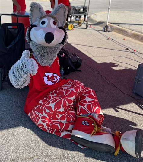 Super Bowl LVII: How Kansas City Chiefs mascot KC Wolf nearly died on the job - Los Angeles Times