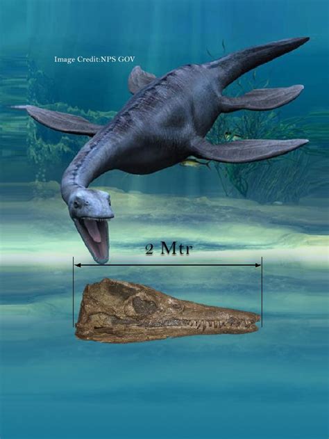 Massive Pliosaur Skull Discovery Shakes The Jurassic Coast! | Virtual Wonder Global