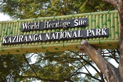 Best way to Experience Kaziranga National Park Safari | belugatravels.com