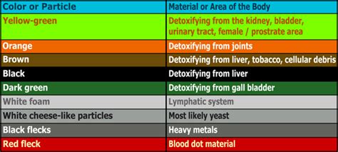 Ion Cleanse Color Chart – Warehouse of Ideas