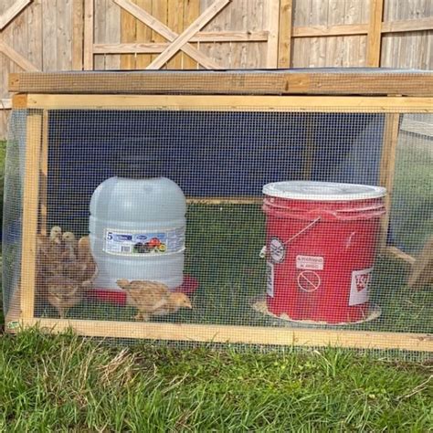 DIY 5-Gallon Bucket Chicken Feeder - Mama on the Homestead