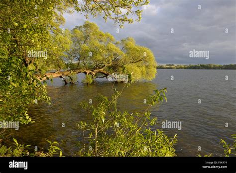 Pojezierze pomorskie hi-res stock photography and images - Alamy