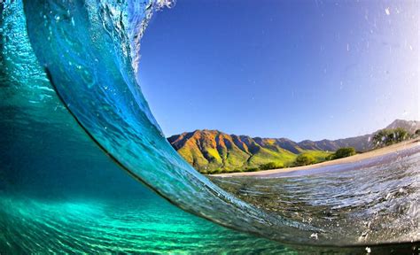 Imagens da natureza bonita do verão. 100 fotos para sua área de trabalho