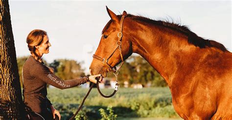 Blanket Safe Horse Blanket and Pet Safe Laundry Washes