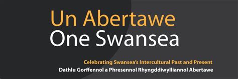 Swansea Museum — The industrial, maritime and cultural histories of Swansea