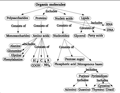 Organic Molecule Concept Map – Interactive Map