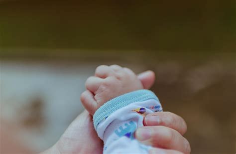 Mom Holding Baby Hand Free Stock Photo - Public Domain Pictures