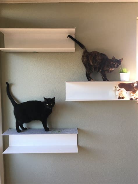 Cat Shelves for Christmas – Dear Shari