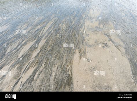 ripple marks on a sand beach Stock Photo - Alamy