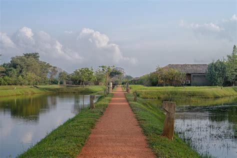 Water Garden Sigiriya Location – Hummingbird Travel