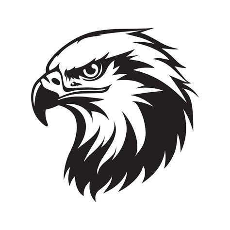 Eagle Face Vector illustration 35217108 Vector Art at Vecteezy