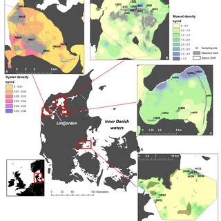 1: Examples of benthic (a) epifauna and (b) infauna. Visible epifauna ...