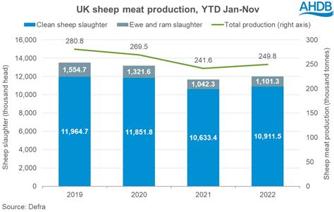 Uplift in throughput continues to drive sheep meat production | AHDB