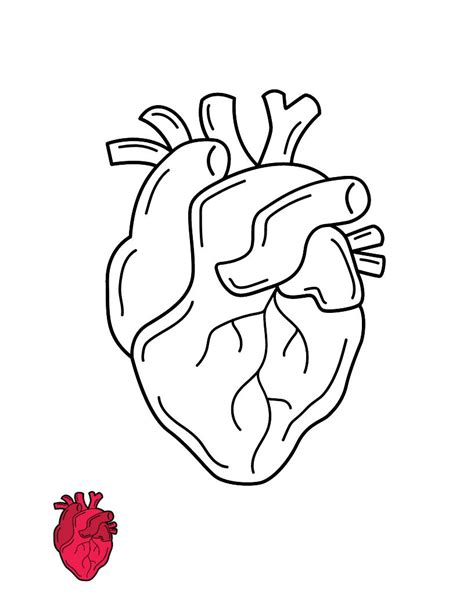 FREE Heart Outline Template - Download in PDF, Illustrator, EPS, SVG ...