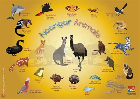 Noongar language poster. Courtesy SWALSC Aboriginal Art For Kids, Aboriginal Art Symbols ...