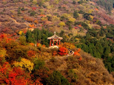 【北京 金秋 香山摄影图片】北京 香山风光摄影_快门_太平洋电脑网摄影部落