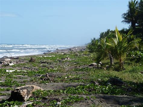 Pacific ocean Costa Rica beach free image download