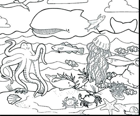 Sea Creatures Coloring Pages at GetDrawings | Free download