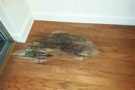 How to Deal With Water Damage Wood Floors