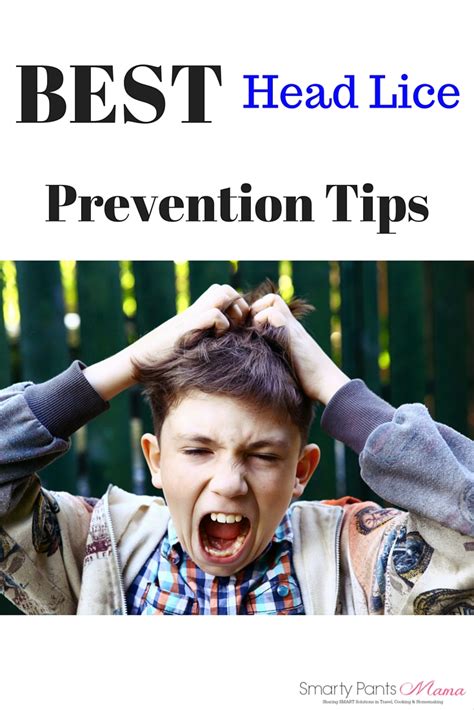 Head Lice Prevention Tips That Work - Smarty Pants Mama