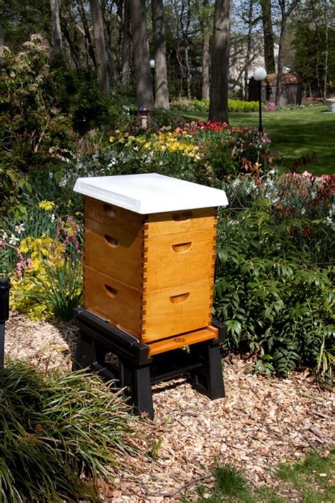 Ultimate Hive Stand by Bee Smart Designs - Deseret Hive Supply